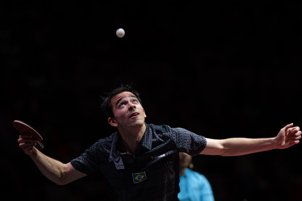 不仅展示了 不仅展示了