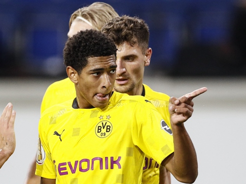 献的不在于 献的不在于